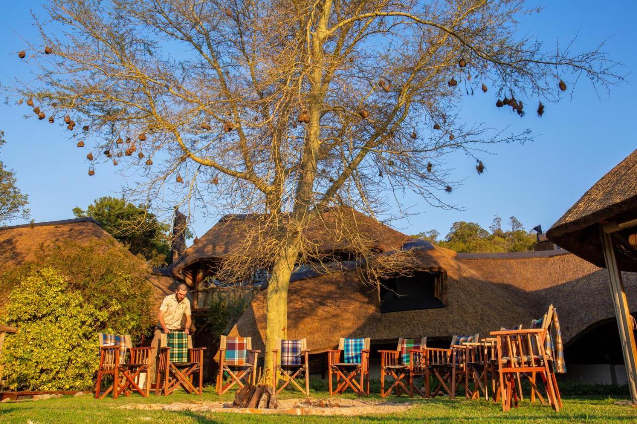 Lalibela Game Reserve Mark'S Camp Grahamstown Buitenkant foto