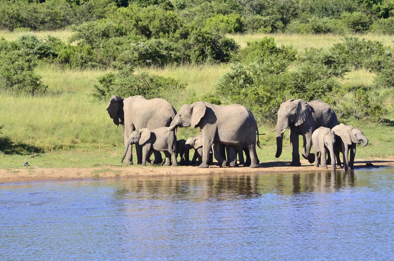 Lalibela Game Reserve Mark'S Camp Grahamstown Buitenkant foto