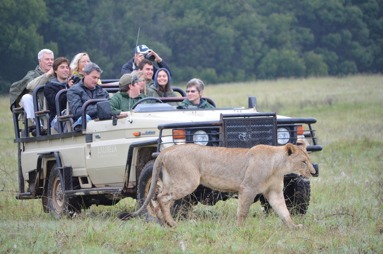 Lalibela Game Reserve Mark'S Camp Grahamstown Buitenkant foto