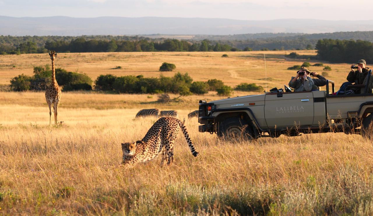 Lalibela Game Reserve Mark'S Camp Grahamstown Buitenkant foto