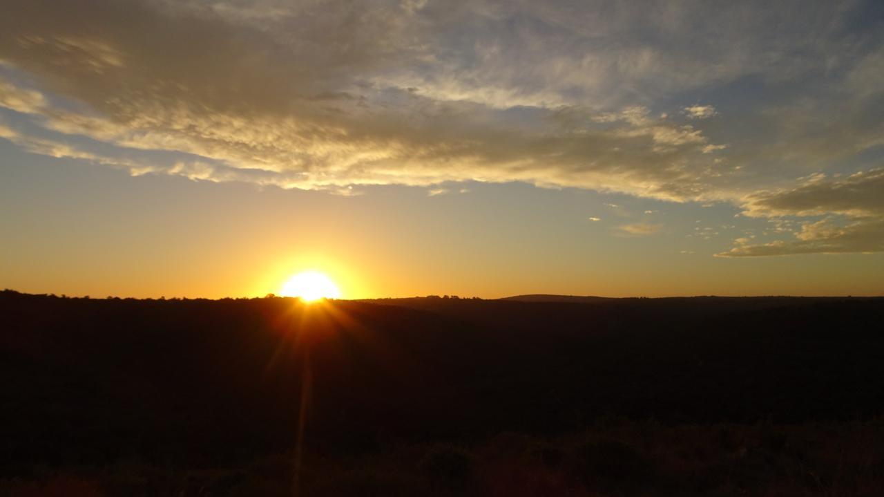 Lalibela Game Reserve Mark'S Camp Grahamstown Buitenkant foto