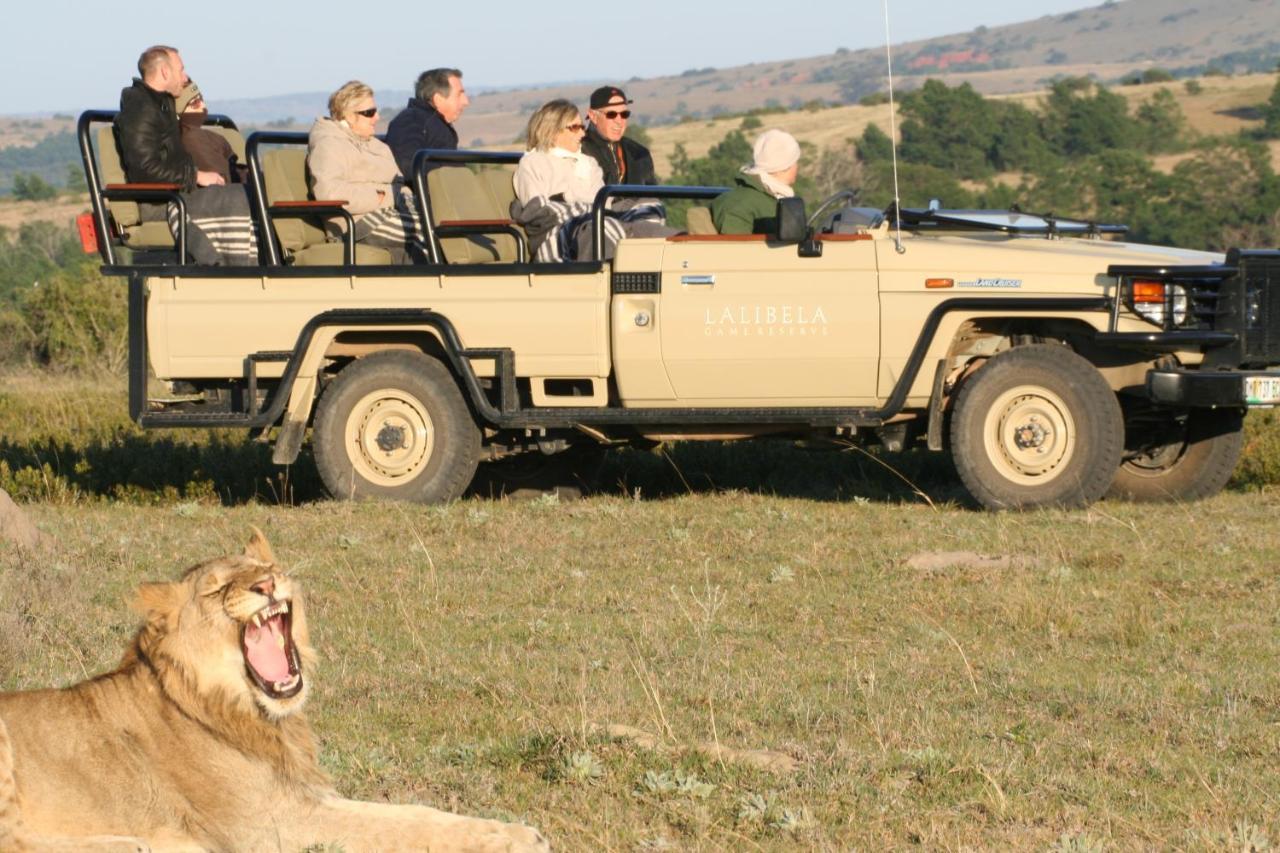 Lalibela Game Reserve Mark'S Camp Grahamstown Buitenkant foto